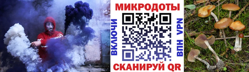 закладка  Венёв  Галлюциногенные грибы мухоморы 